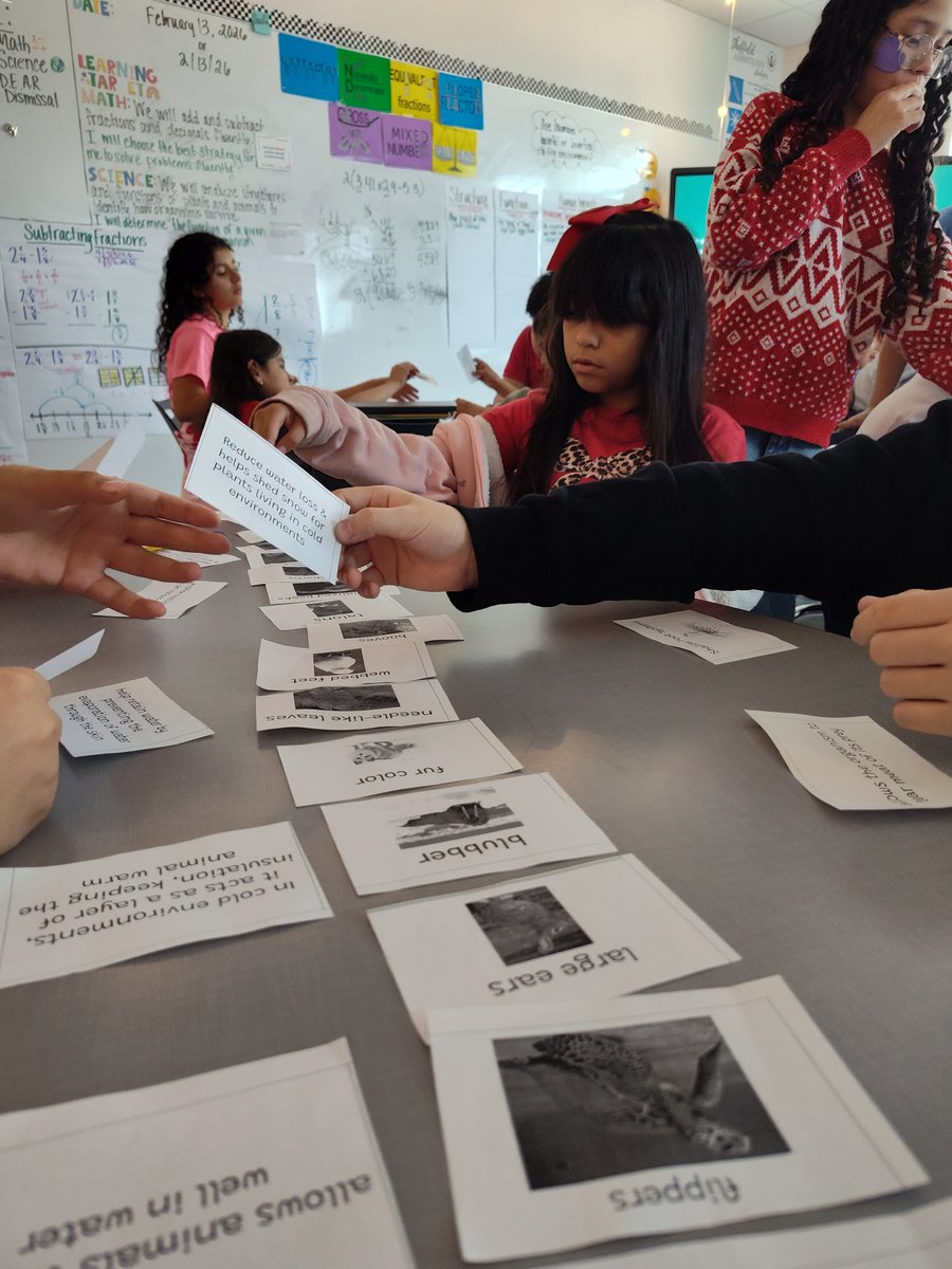 Hillary Tuerck tweet media