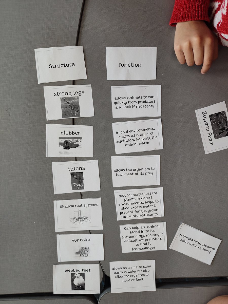 Hillary Tuerck tweet media