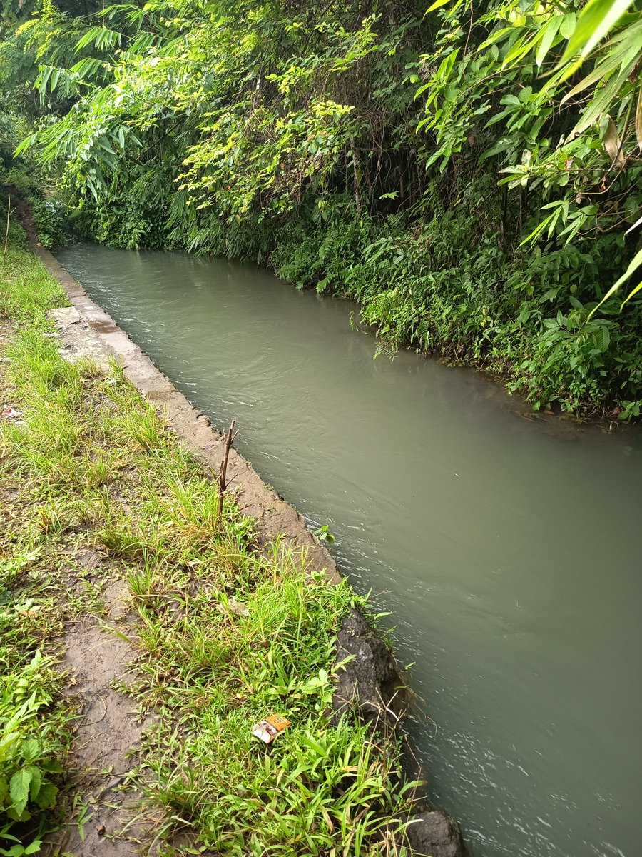 Made_Natha tweet media