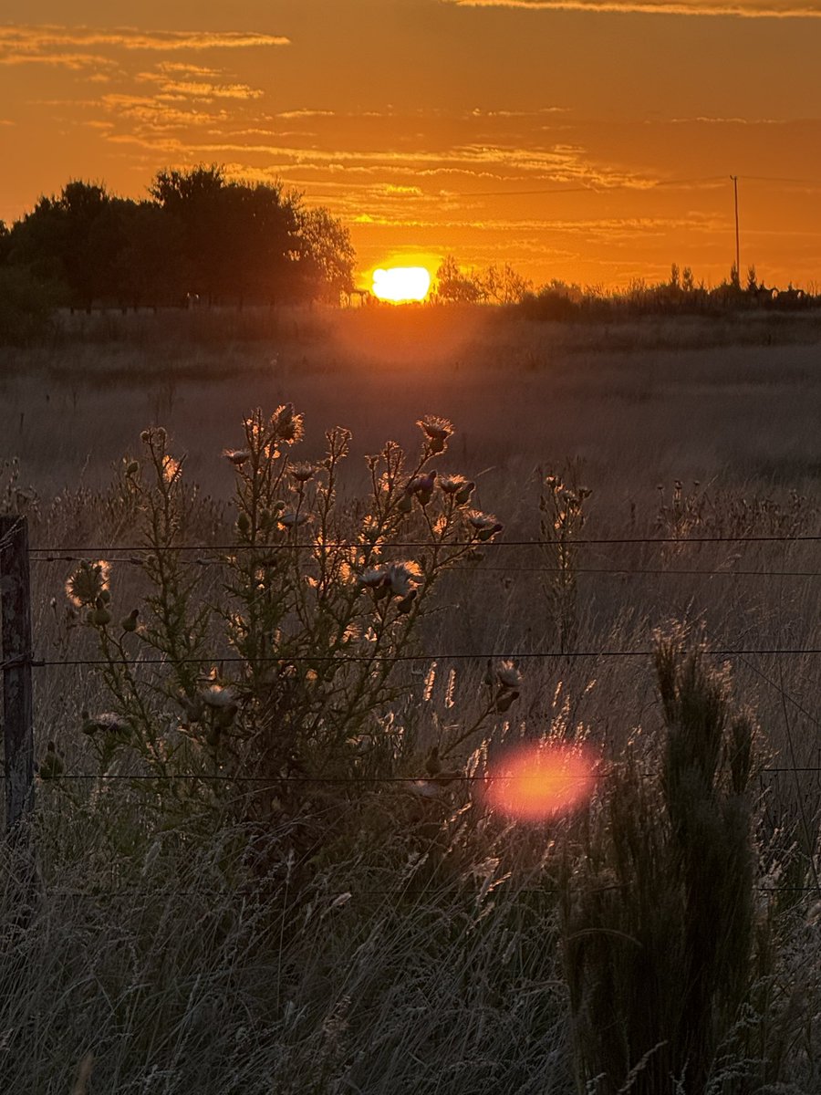 Vivoencharlone  tweet media