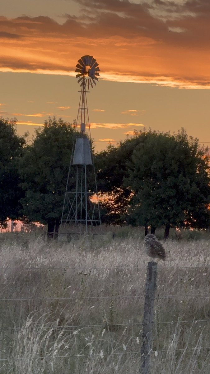 Vivoencharlone  tweet media