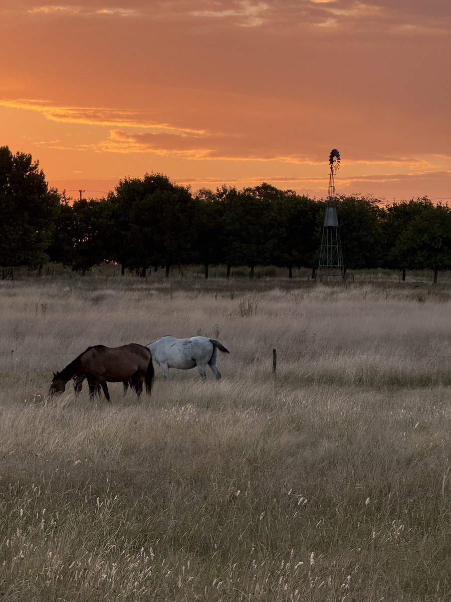 Vivoencharlone  tweet media