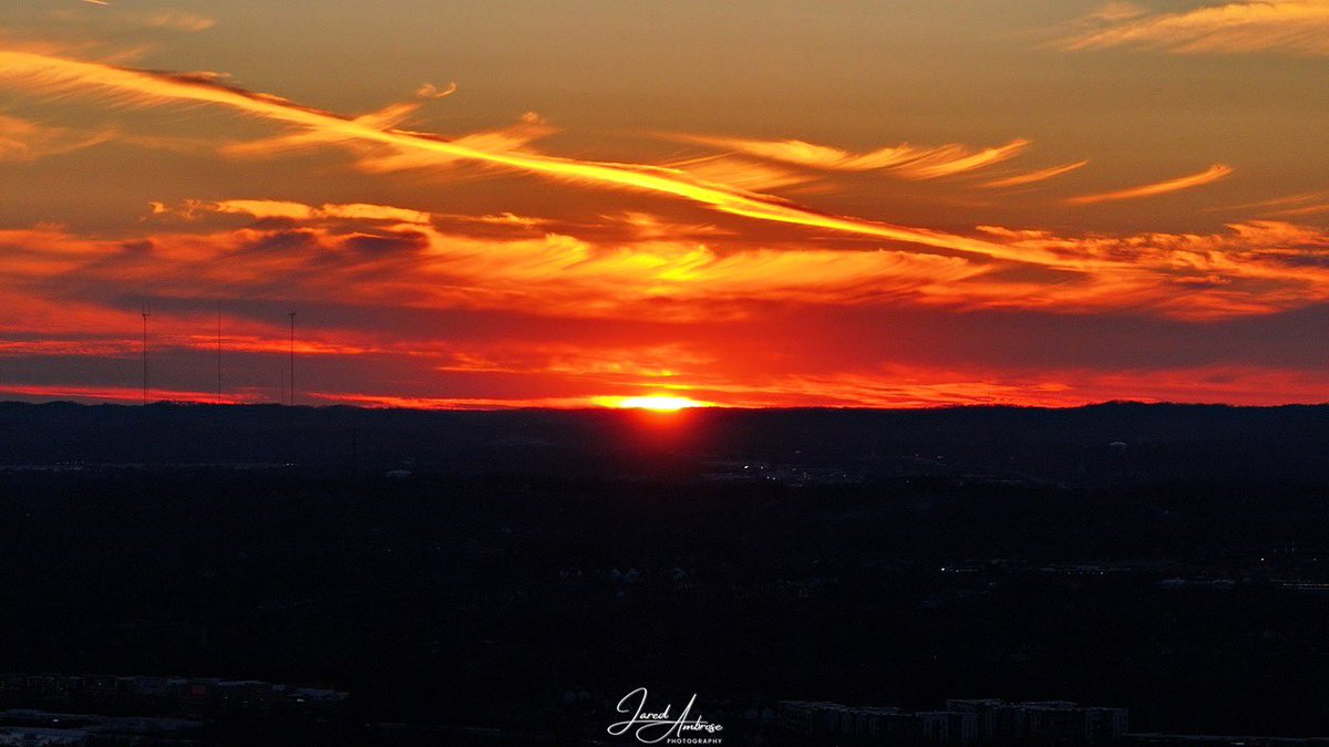 Henry Rothenberg tweet media