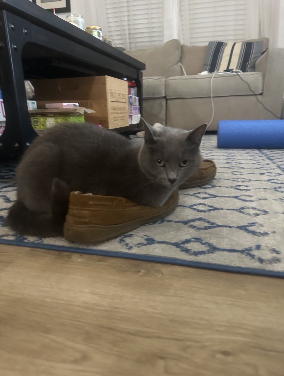 Emily Fost tweet media