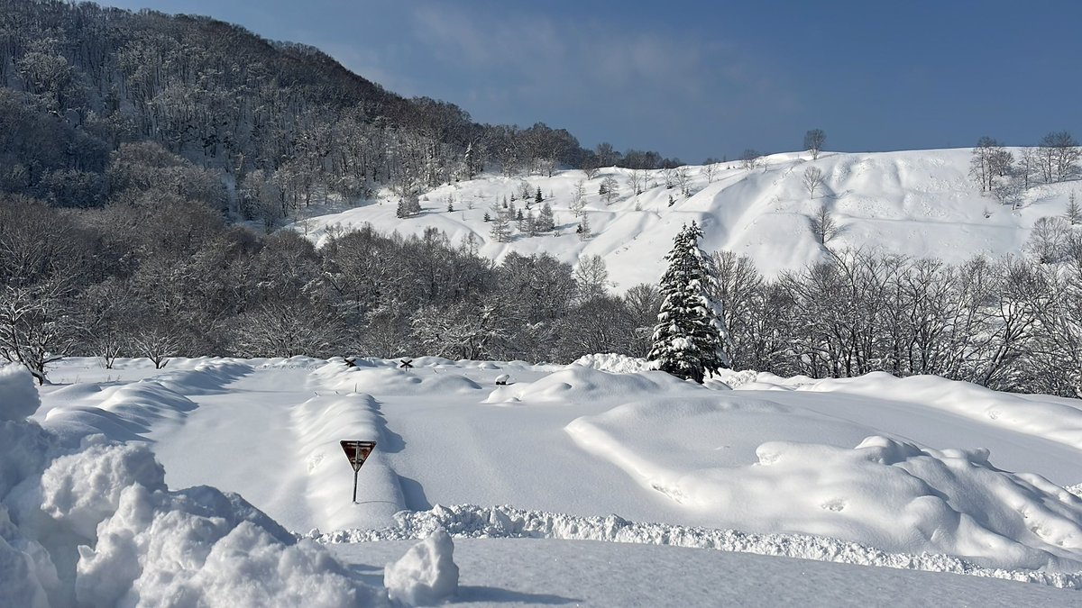 バリバリモーターパーク tweet media