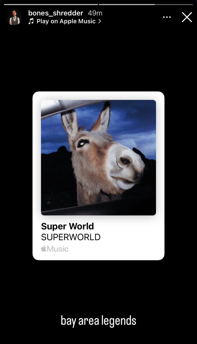 Bones Shredder Updates 🦇 tweet media