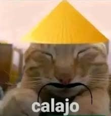 gallagher. (@alcoholiico) on Twitter photo 