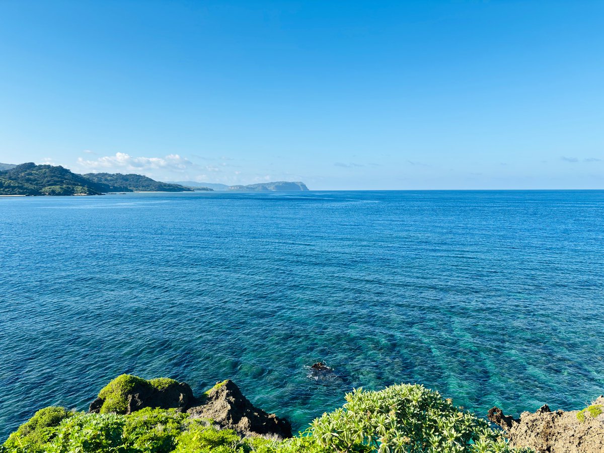 ☆momoko☆ tweet media