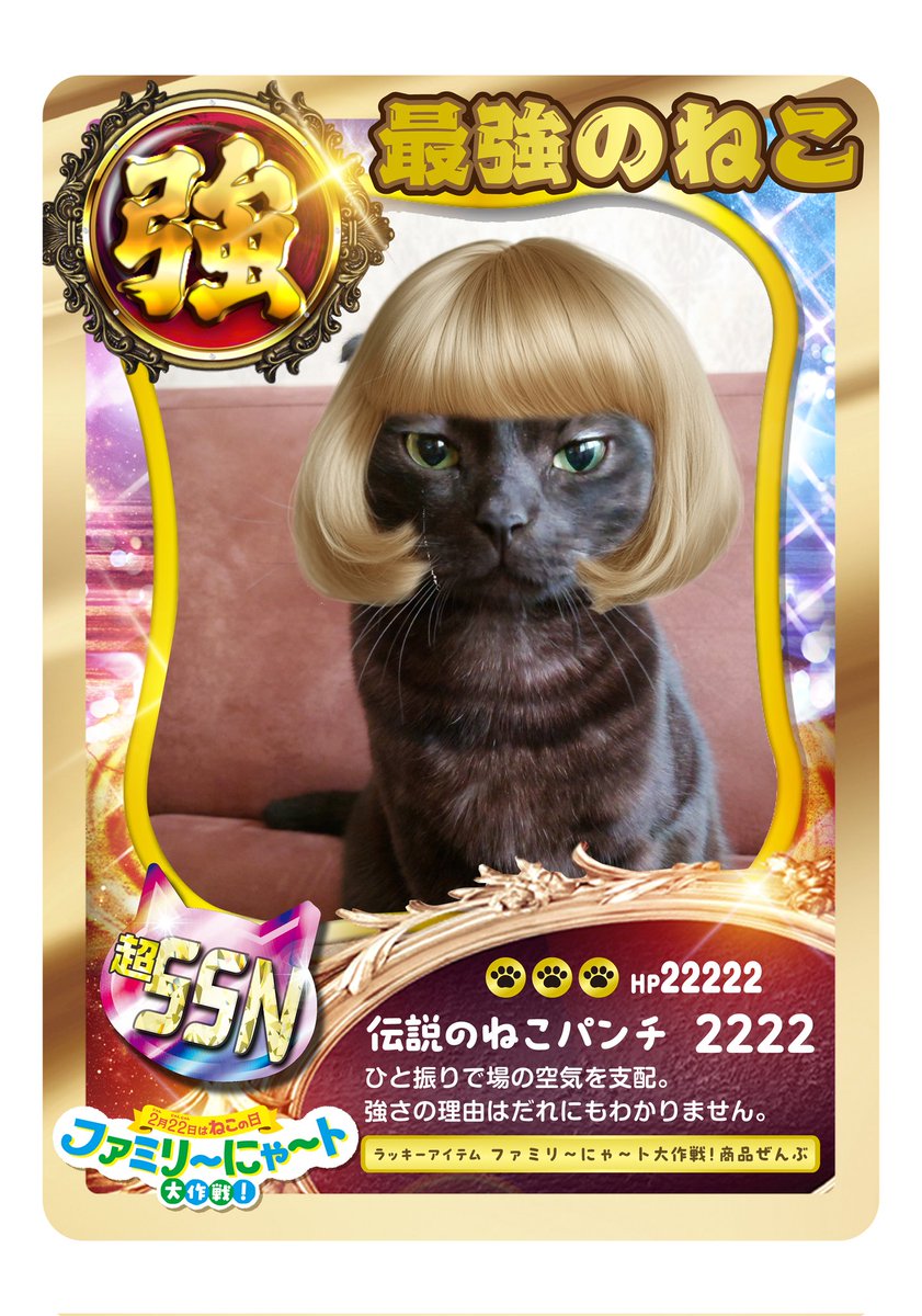 美香 🐈🐈‍⬛🐾🍒 (@mica773rk) / Posts / X