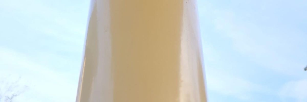 daily post tweet media