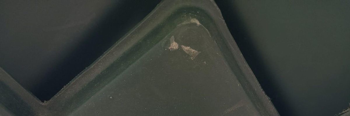 daily post tweet media