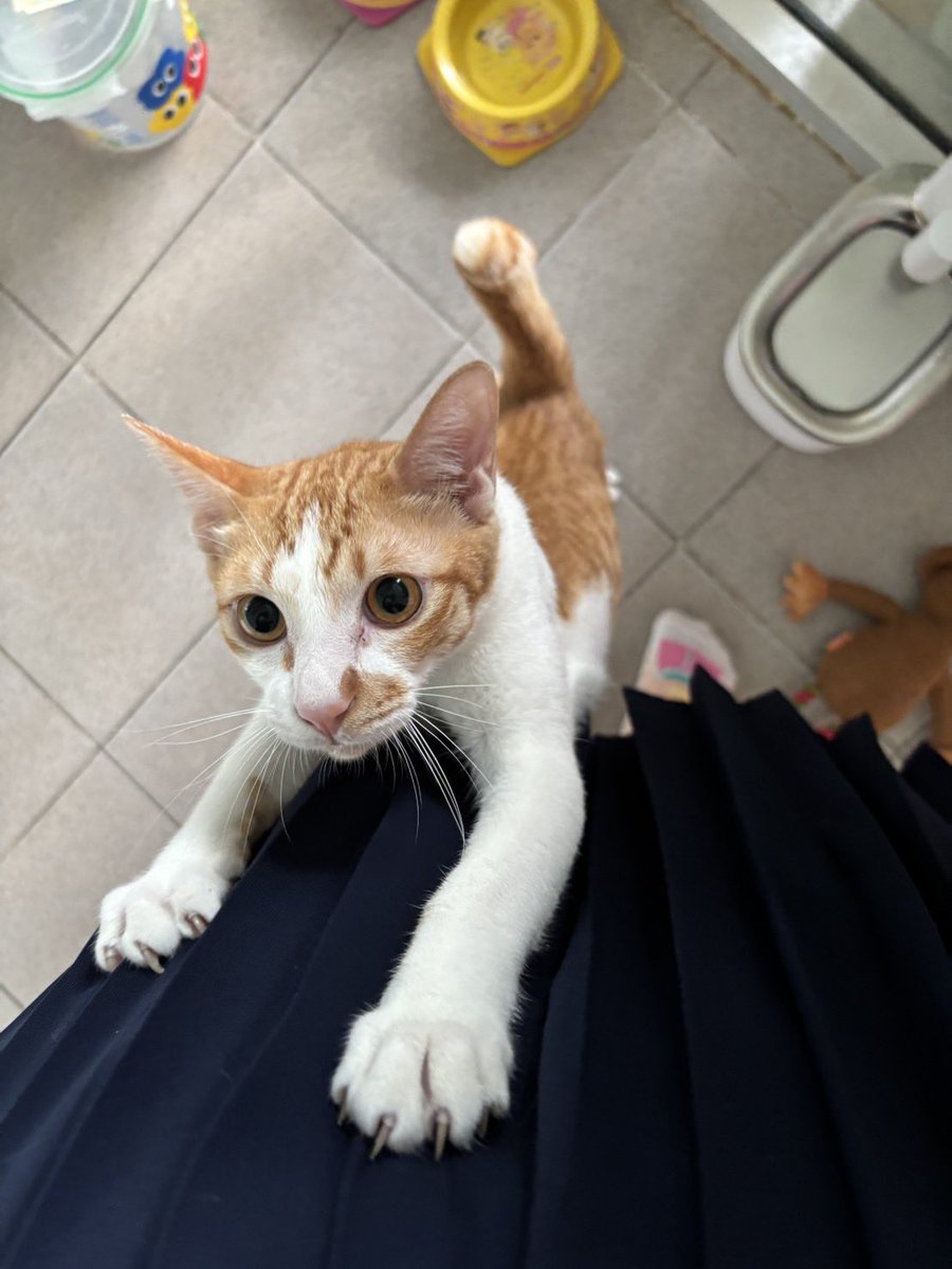 johnjud_cu's tweet image. พิสาวคับ วันนี้วาเลนไทน์ มีหนุ่มไปเดทด้วยยังคับบ 😻🌹 #เฮเซลนัท_Johnjud