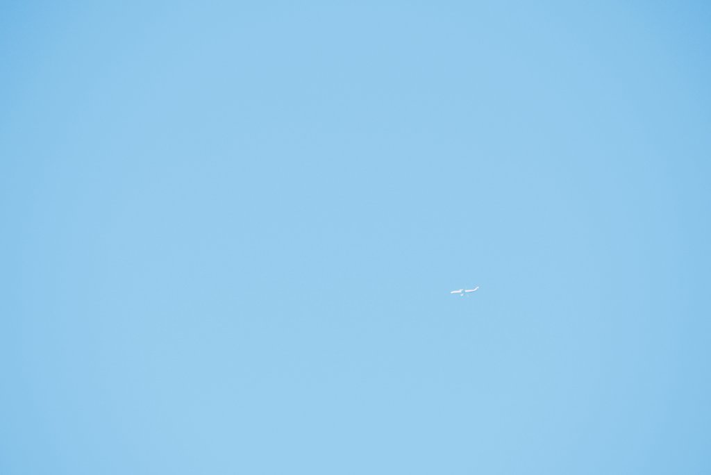 espr___'s tweet image. 