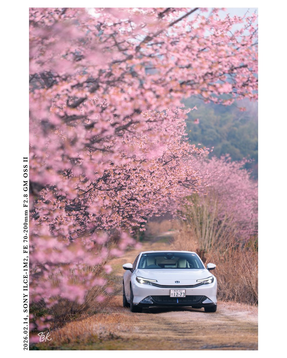 もっちー🦭 (@mochi_fl5) / Posts / X