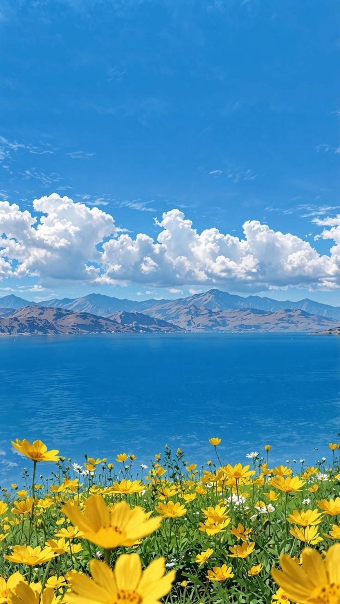 When we forgive, we heal.
When we let go, we grow

Good Morning 💐