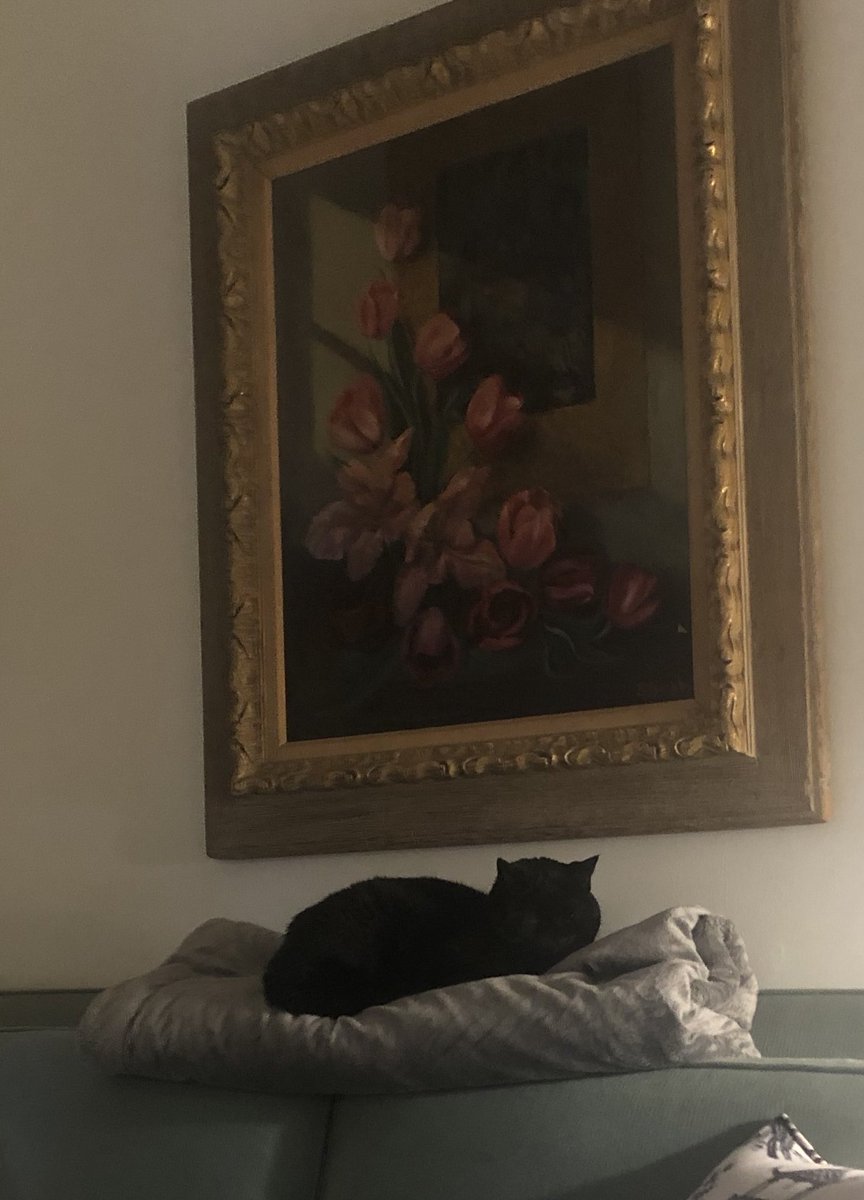 noooooo 👻👻👻🤣