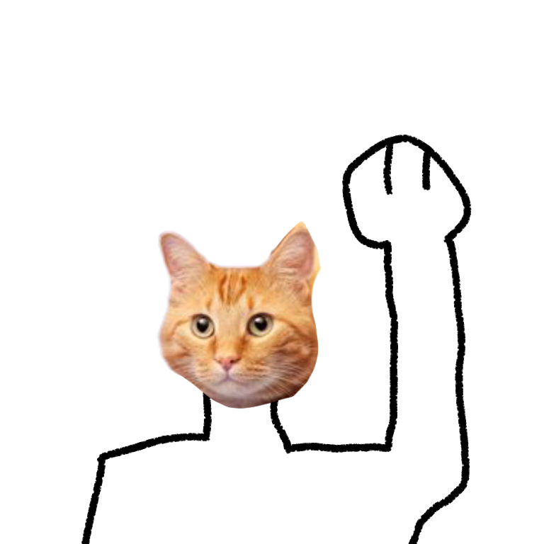 아니 요가하면서 궁금한건데
<팔은 올리고 어깨는 내리라>가 무슨소리죠
팔을 올리면 응당 어깨가 따라 올라가지 않음? 어깨 안 올라가면 그저 팔 올린걸 잘못그린 인삐가 되기 십상인데 도대체 어떻게 하는거에요