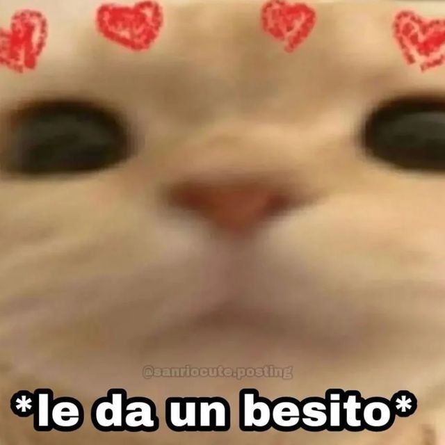 Y4manek0's tweet photo. @Crypt1dAn0maly Happy valentine's day, sun critter 💖💖💖💖💖 https://t.co/gB8ZnhcH4M