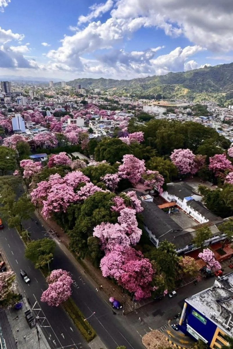 Shertz__66's tweet photo. @MenserThe Ibagué, Colombia https://t.co/bz0t2vP1Ea