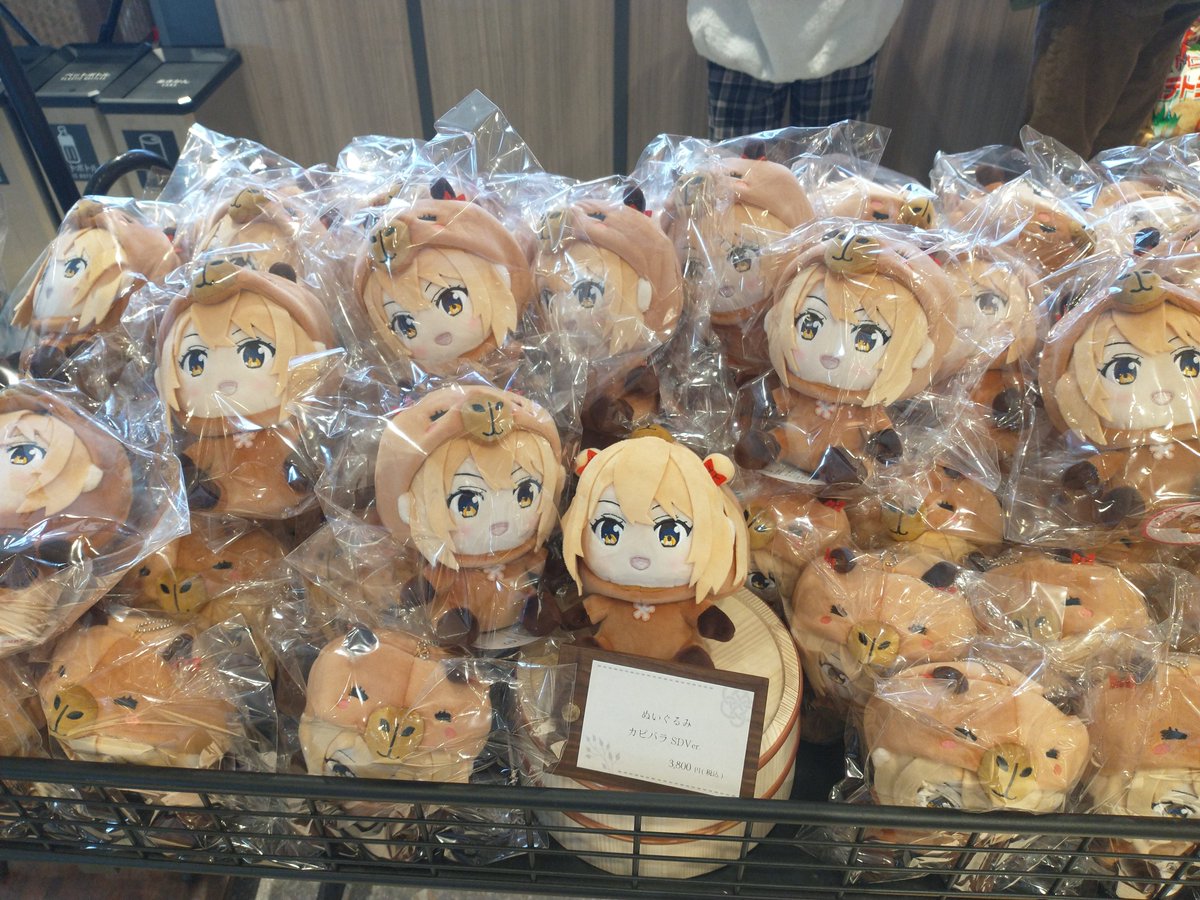 メ◯ンブックス草津店こと、亀の井ホテル草津湯畑さんでカピバラ結衣奈