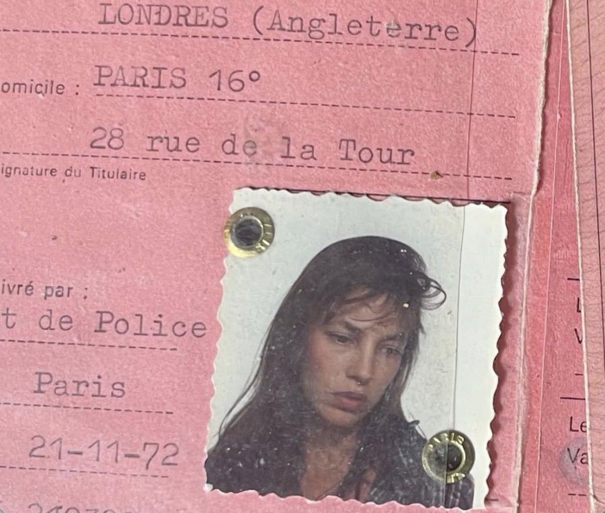 zyn addict tweet media