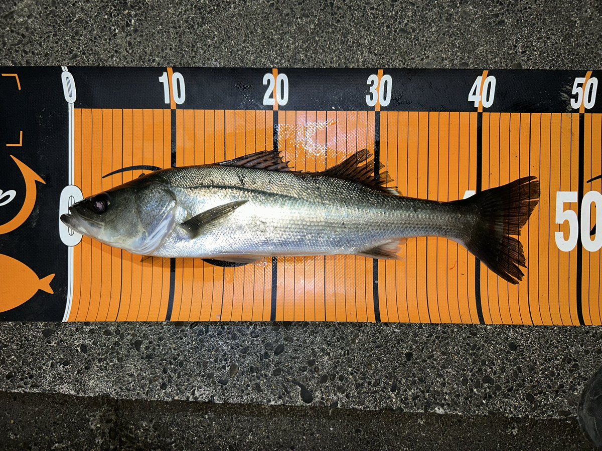 ANZYE (@anzye96) / Posts / X