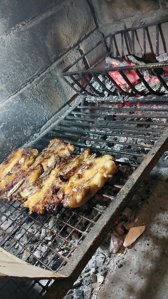 Hoy sale faldita.....