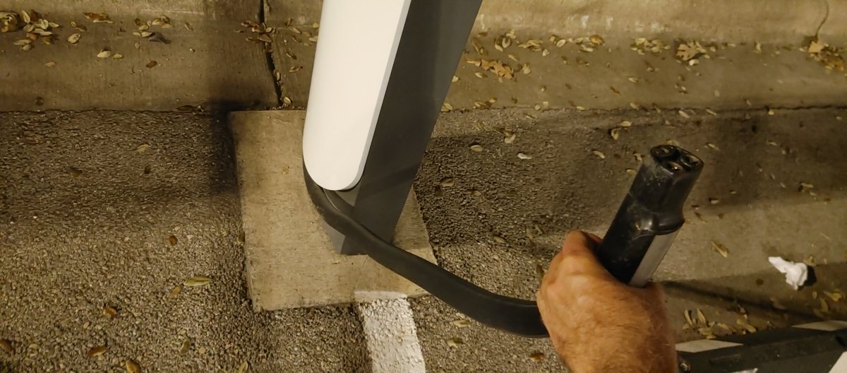 whaeling tweet media