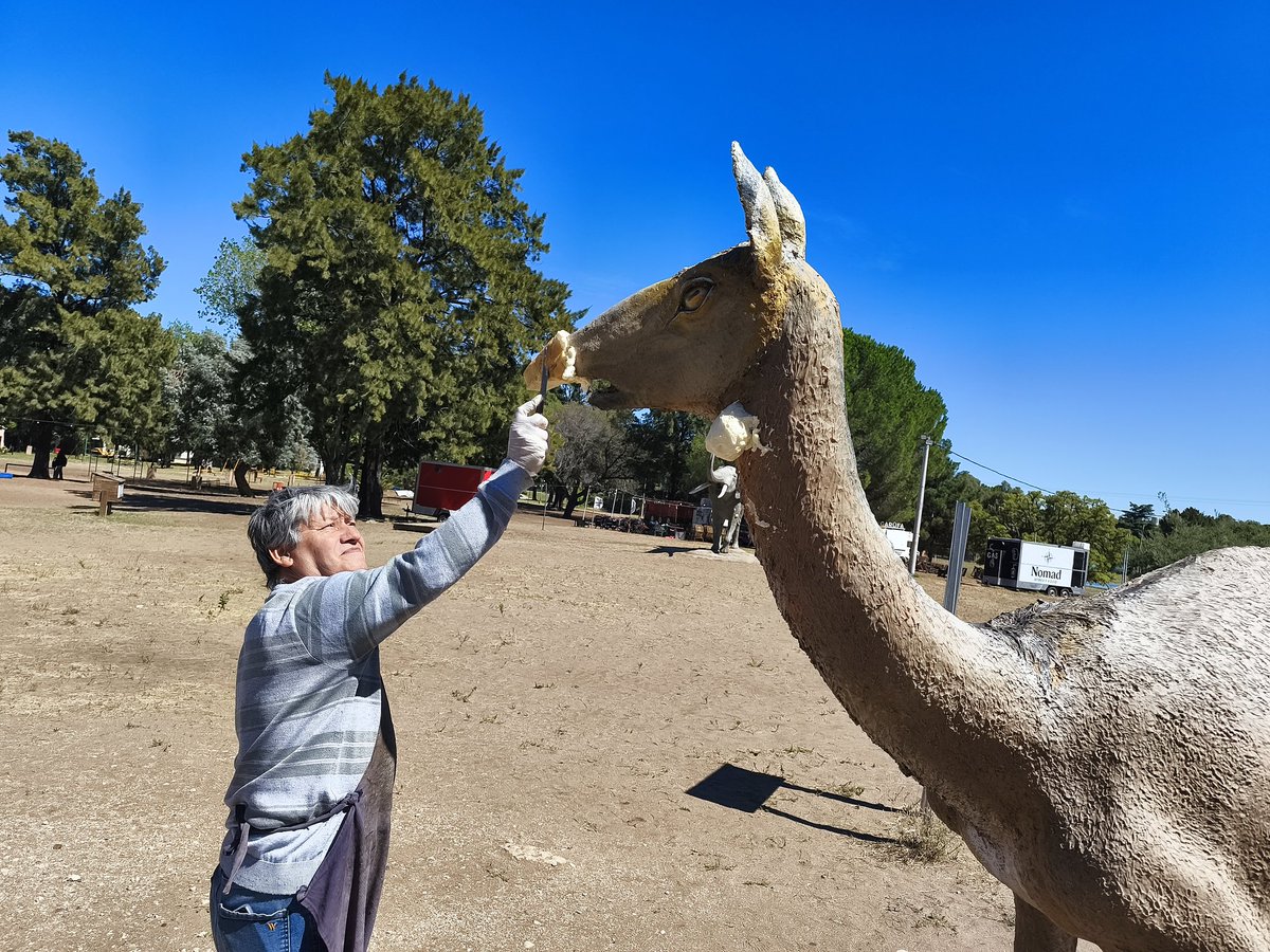rodrigo_arist's tweet photo. Estos últimos días estuvimos trabajando en la restauración de las réplicas de la megafauna en Pehuen Co, recuperando parte del patrimonio que forma parte de la identidad del lugar y que disfrutan vecinos y visitantes.

Quiero destacar especialmente el trabajo del paleoartista Fernando Cárdenas y la colaboración desinteresada de los vecinos Marcelo Racasio y Julio Tamalet, que pusieron tiempo, compromiso para devolverles vida a estas obras. Desde el Municipio acompañamos con los aportes necesarios para que esta tarea pudiera llevarse adelante.

Estas acciones son las que valen: cuando el esfuerzo del sector privado y el Estado se unen, se logran resultados concretos que mejoran nuestros espacios y fortalecen el sentido de comunidad. Seguimos trabajando juntos para cuidar y poner en valor lo que es de todos.
