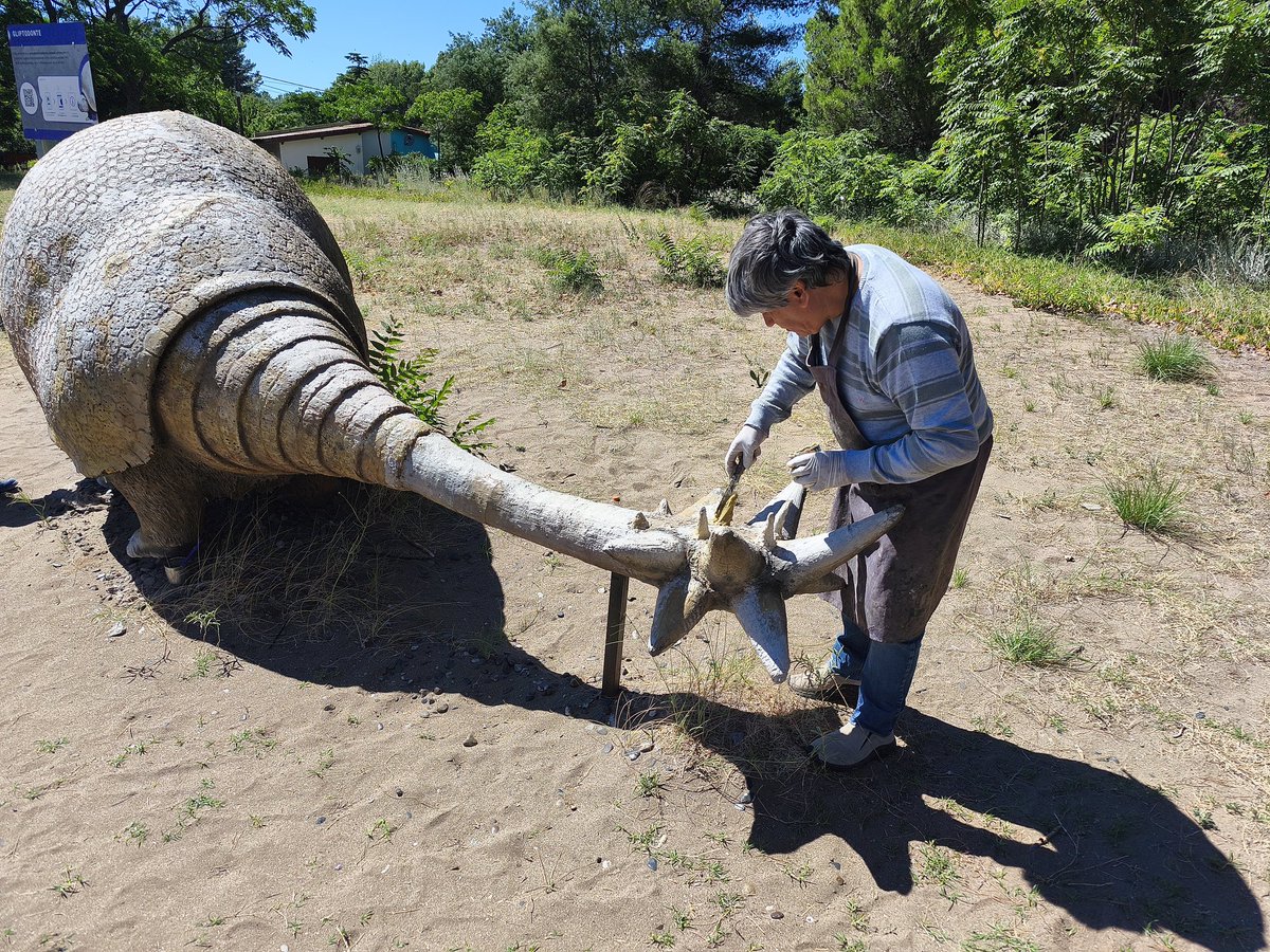 rodrigo_arist's tweet photo. Estos últimos días estuvimos trabajando en la restauración de las réplicas de la megafauna en Pehuen Co, recuperando parte del patrimonio que forma parte de la identidad del lugar y que disfrutan vecinos y visitantes.

Quiero destacar especialmente el trabajo del paleoartista Fernando Cárdenas y la colaboración desinteresada de los vecinos Marcelo Racasio y Julio Tamalet, que pusieron tiempo, compromiso para devolverles vida a estas obras. Desde el Municipio acompañamos con los aportes necesarios para que esta tarea pudiera llevarse adelante.

Estas acciones son las que valen: cuando el esfuerzo del sector privado y el Estado se unen, se logran resultados concretos que mejoran nuestros espacios y fortalecen el sentido de comunidad. Seguimos trabajando juntos para cuidar y poner en valor lo que es de todos.