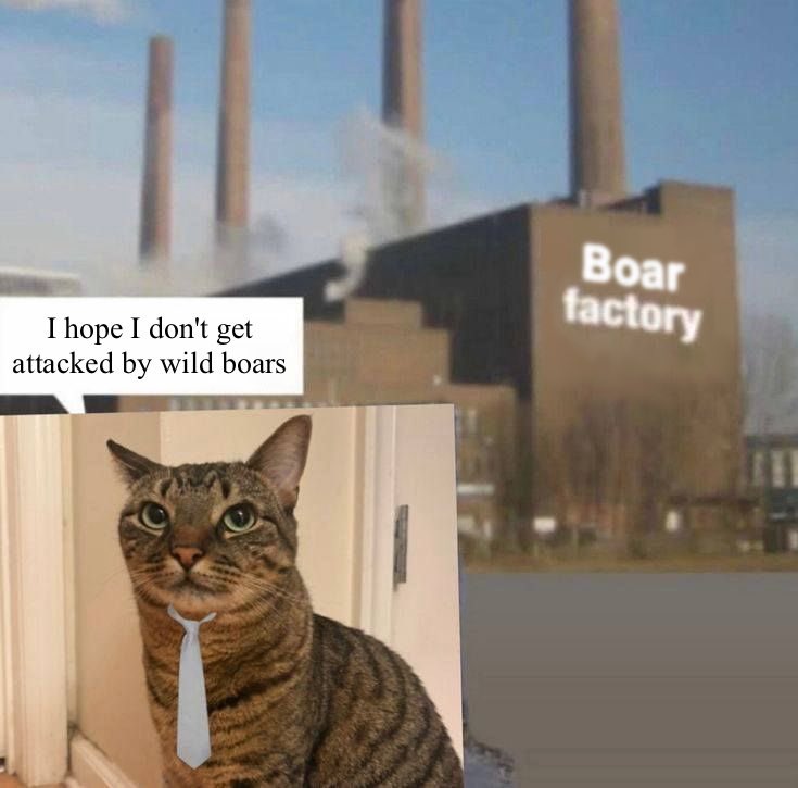 Bird (Very Busy‼️‼️) tweet media