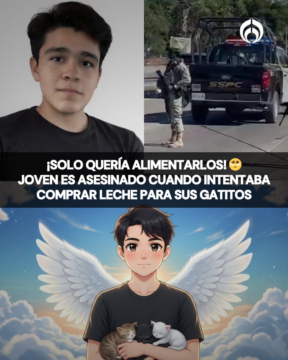 ¡Solo quería alimentarlos! 💔🐱 Ricardo, un joven de apenas 15 años, salió de su casa con la intención de comprar leche y un biberón para alimentar a los gatitos que había adoptado cuando hombres armados lo confundieron con otra persona y, al intentar huir, le dispararon en plena