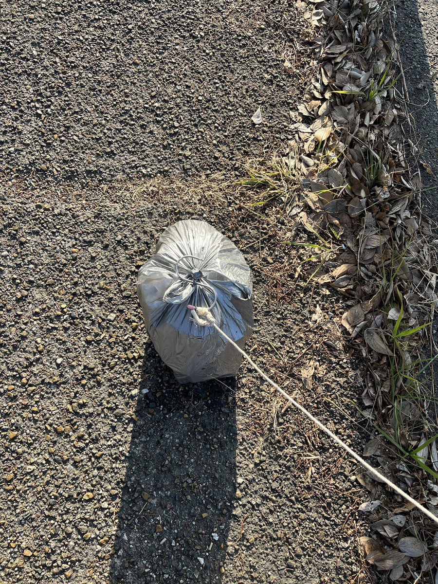 あの川に、ずっと気になっていたゴミ袋。

ゆらゆら動く。
狙っても、なかなかフックがかからない。

「これは無理かも…」と思った瞬間、
運よくヒット。

水を含んで重たいはずが、
破れた部分から水が抜けてくれた。

また一つ、川が軽くなった。

まだまだあります。
釣り上げていきます。