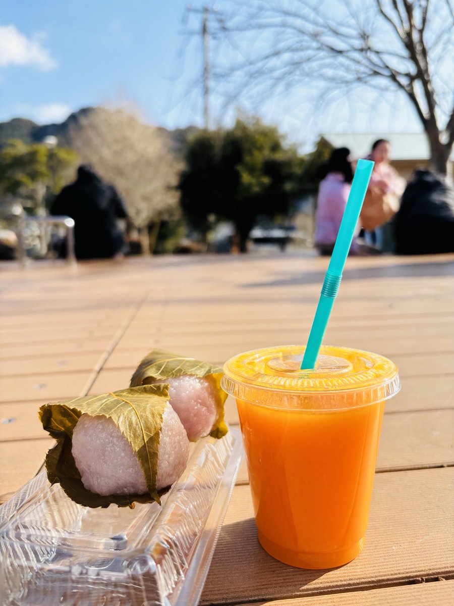 河津桜の原木🌸
さくら餅とみかんジュースで一休み🍹
朝から人が多い😅