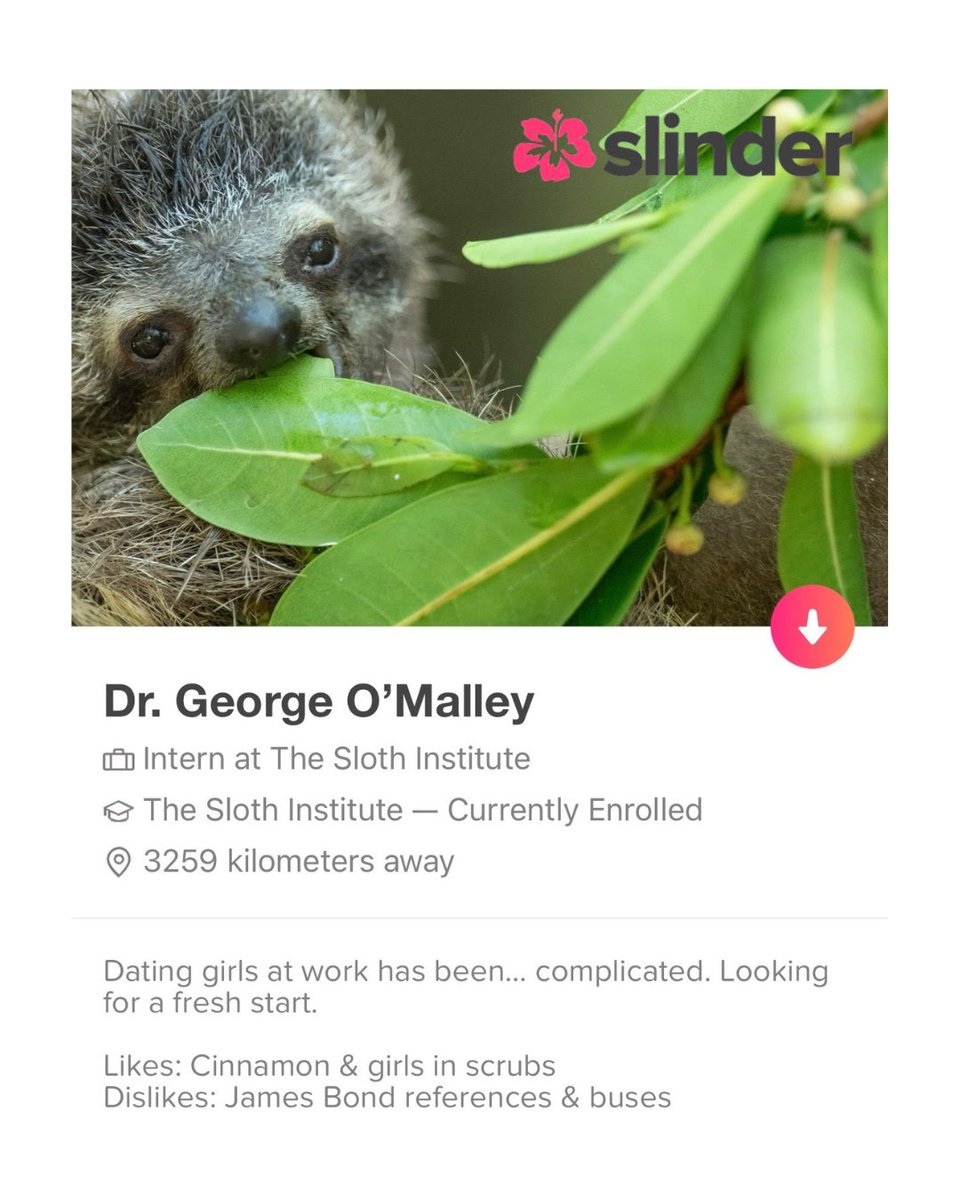 The Sloth Institute tweet media