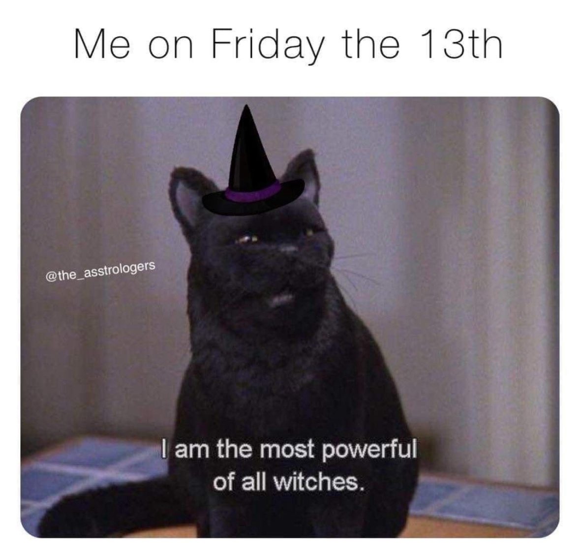 _ComeReal's tweet image. 🐈‍⬛