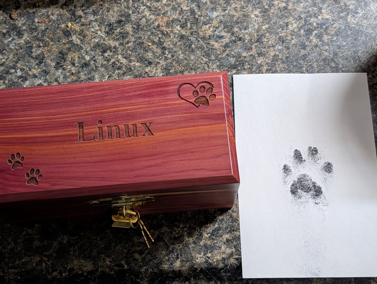 丂Ҝㄖㄖ爪卂 tweet media