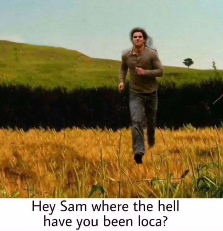 socarrat's tweet image. 