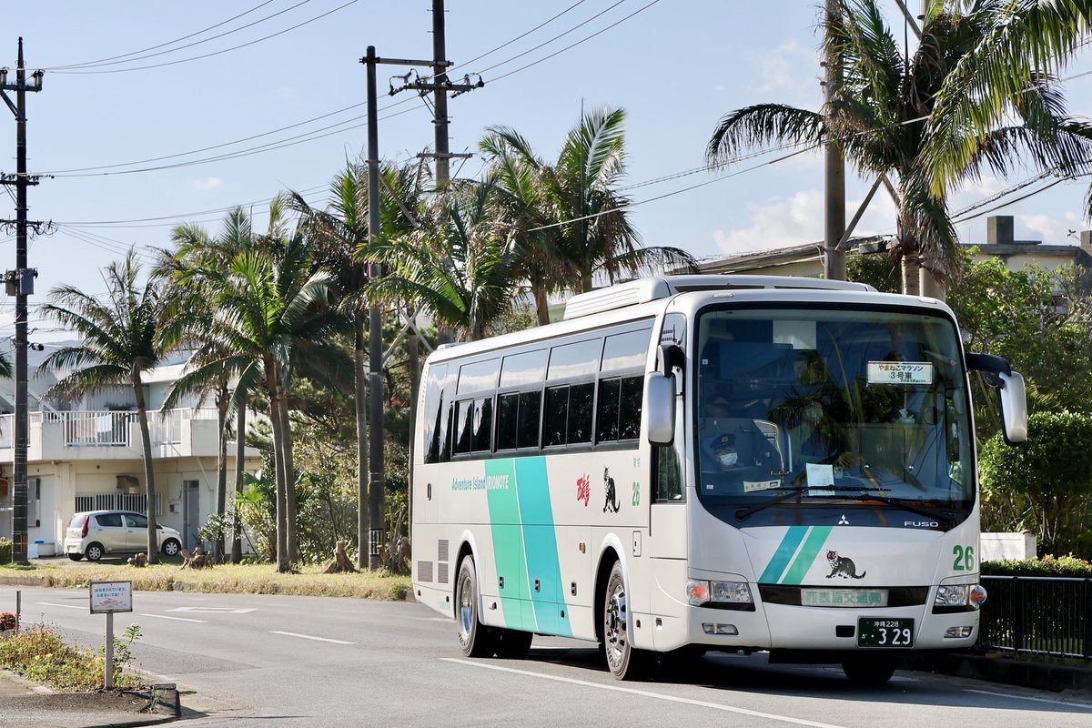 西表島交通 #やまねこマラソン2026