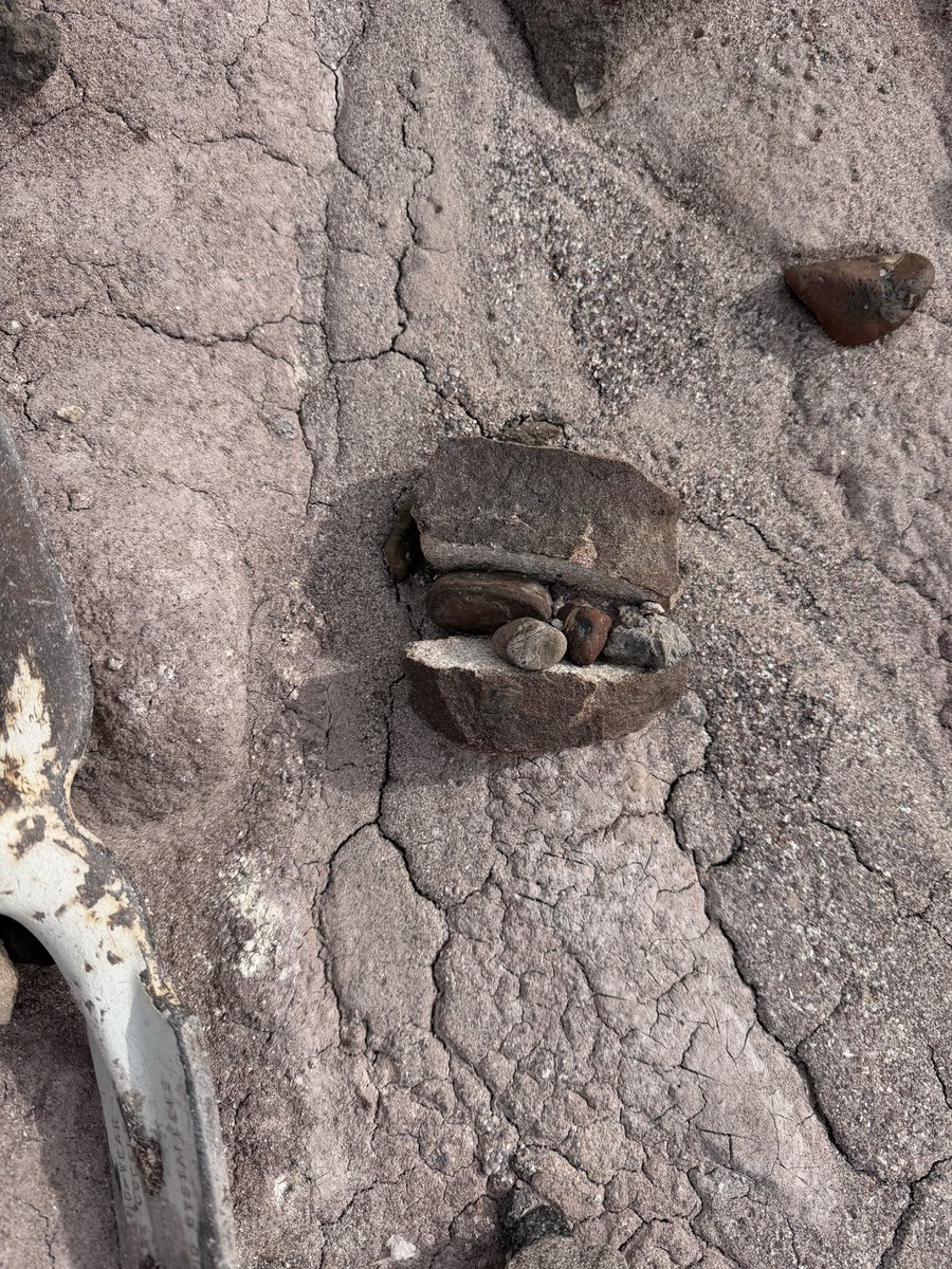 Adam Marsh tweet media