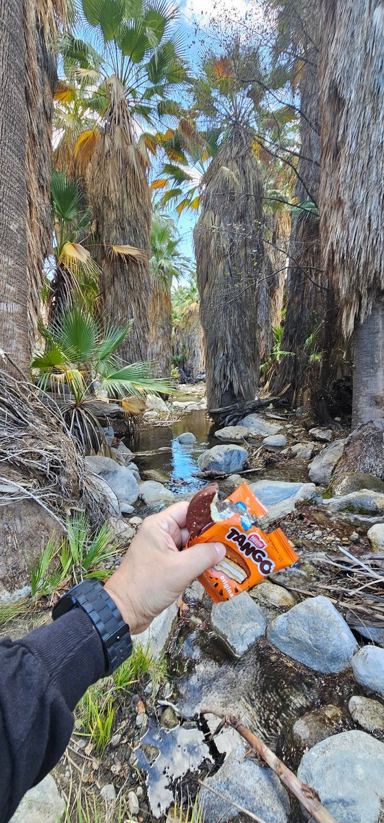 PANCH🌏CA_REKES🌍 tweet media