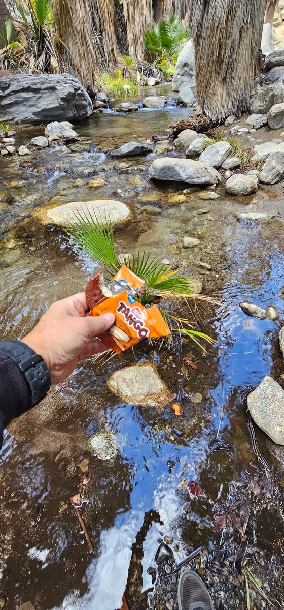 PANCH🌏CA_REKES🌍 tweet media