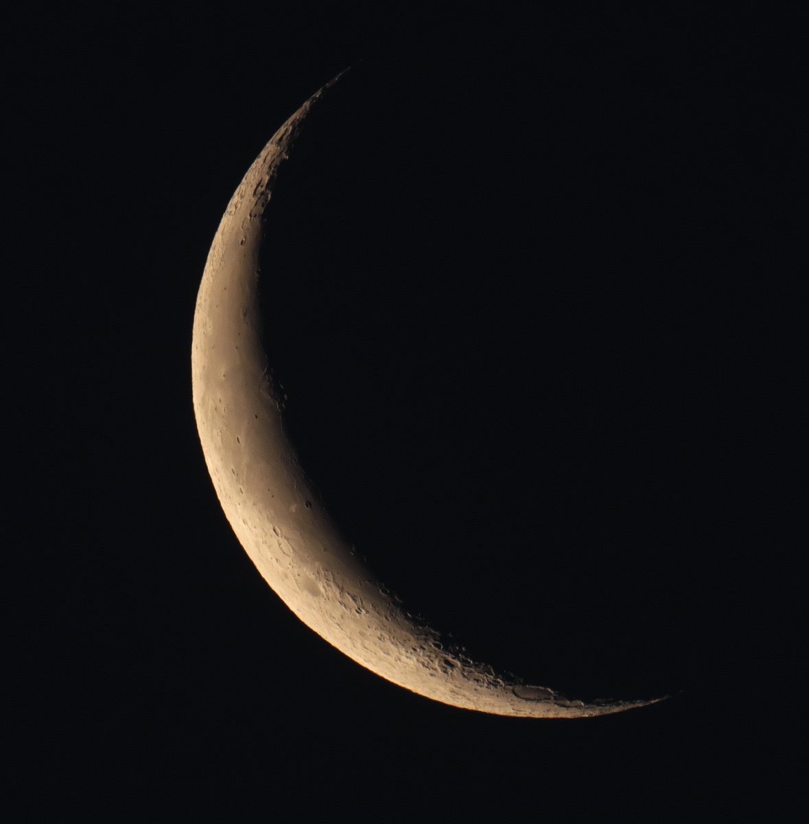 月世界への招待🌙🔭 tweet media