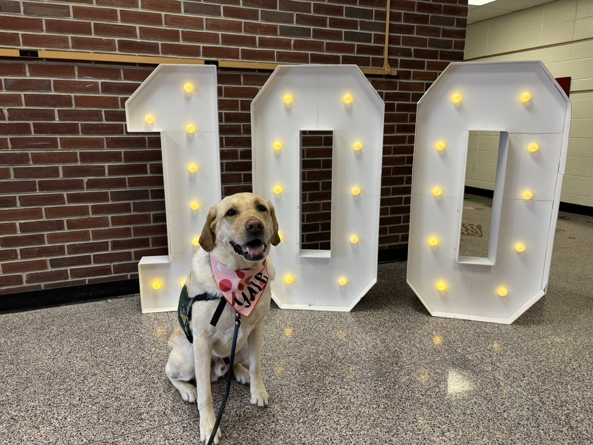 Brenda Pfau tweet media