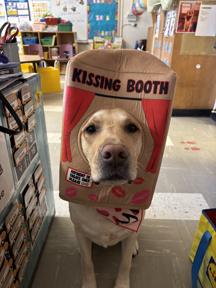 Brenda Pfau tweet media