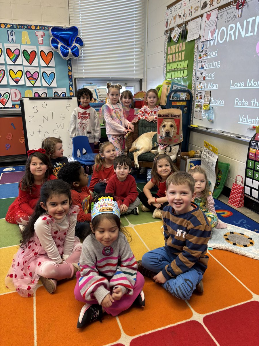 Brenda Pfau tweet media