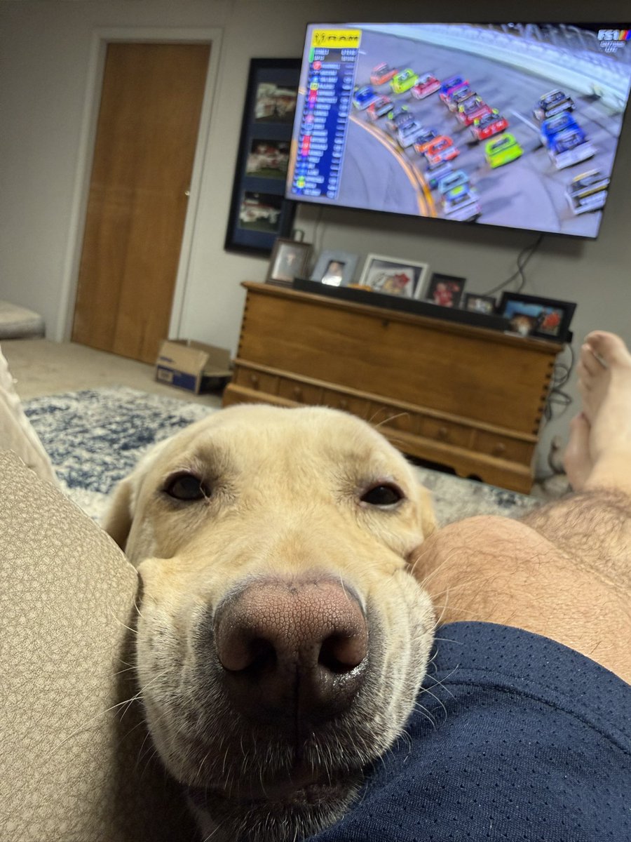 Darin Stewart tweet media