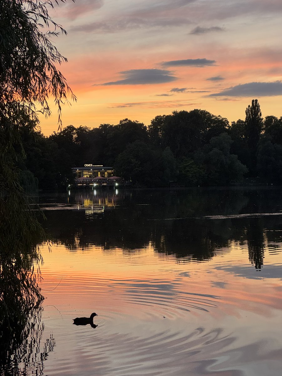 sunsettings 🌞 tweet media