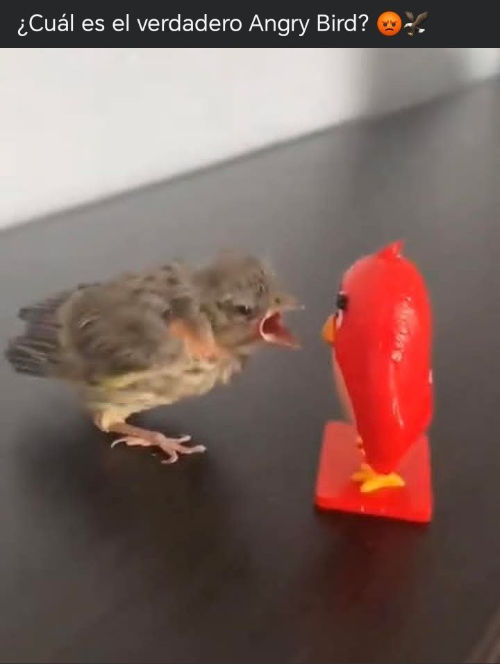 🎨CLON🎨 tweet media