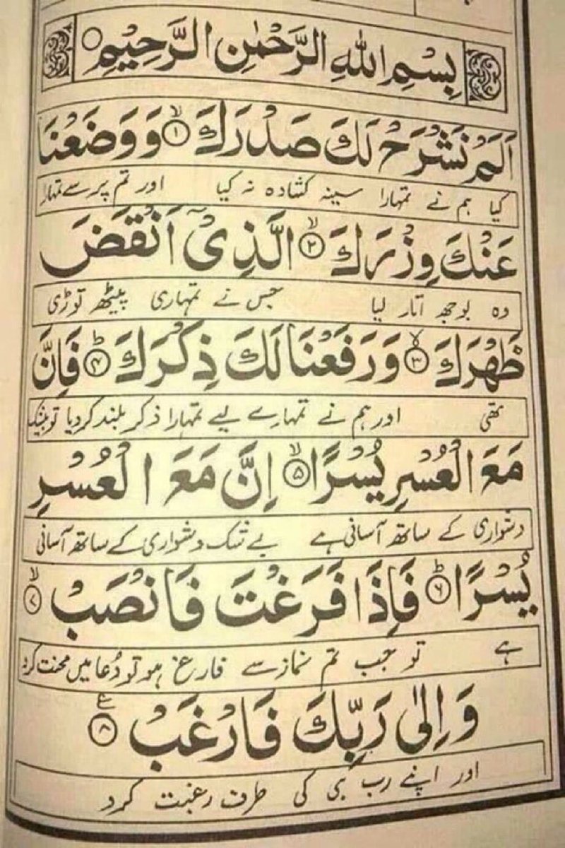꧁༺🌹 shayeza khan🌹༻꧂ DM🚫 tweet media